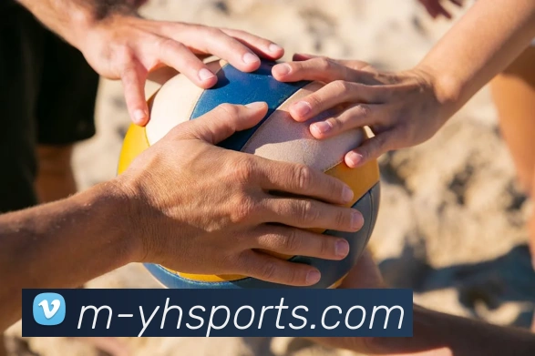 体育下注平台生态图